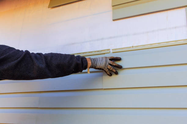 Trusted Lake Hallie, WI Siding Installation & Repair Experts